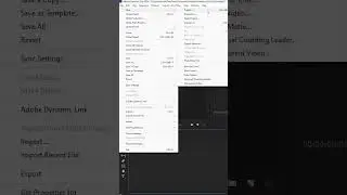 How To Import Video In Adobe Premiere Pro