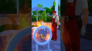 🐱 Fun facts about The Sims 4 Cats and Dogs pack 