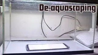 Rescape yang melelahkan! #aquascape #hijaurd