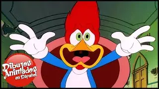 El Pajaro Loco en Español | Niños Bávaros | Dibujos Animados en Español Niños Bávaros
