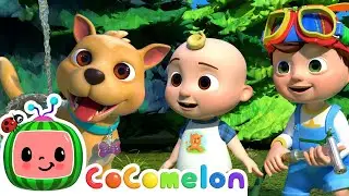 Bingo Gets Clean with Rainbow Bubbles! |  Cocomelon Nursery Rhymes 🚍🍉| Colors For Kids 🌈🏳️‍🌈