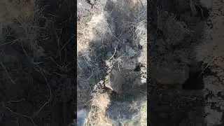 двойная удача!