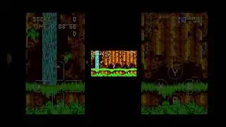 как сделать extra life  в sonic 3 air