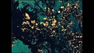 [FREE] Emo Pop Acoustic Guitar Type Beat - Safe Place
