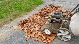 Big Fall Cleanup #2 - Mowing & Leaf Pickup - Mid November