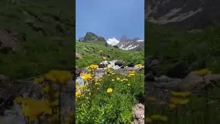 Bave Fexrı
