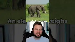 Animal facts that you didn't know before #shorts #short #fact #facts #new #animals #viralshort