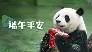 圓仔圓寶過端午