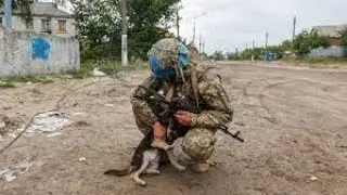 Прийде останній день війни