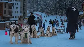 Пампорово