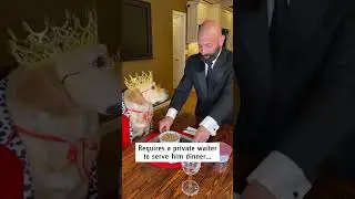 All hail the new King!
