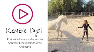 Freiheitsdressur lernen mit Kenzie Dysli - Trainingsanleitung Schritt für Schritt