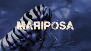 Tide - Mariposa