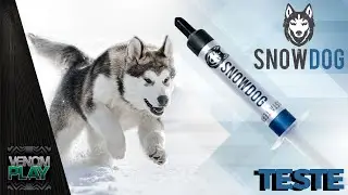 Pasta Térmica SnowDog + Teste