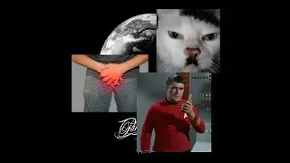 Parkway Drive - Dark Days (Misheard Lyrics)