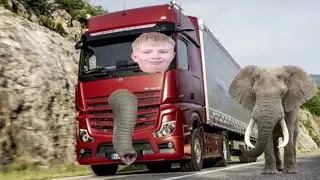 Водятел