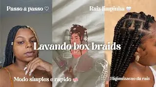 como higienizar suas box braids em 3 passos (fácil e rápido) | dica para o inverno