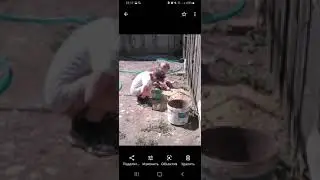 15 октября 2023 г.