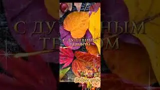Счастливого дня! Красивое пожелание 💐💖💐💖💐💖