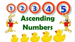 Ascending Order | Arrange the Numbers in their Ascending Order | Ascending Order | Math Grade 1