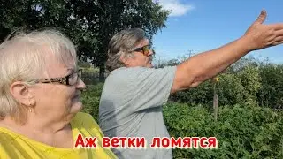 Предупреждён - значит вооружён! Мошенники становятся всё изощрённее...