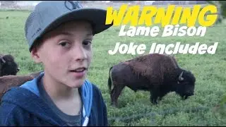 Buffalo Hunt In Idaho | WARNING Lame Bison Joke Included | travel Diary