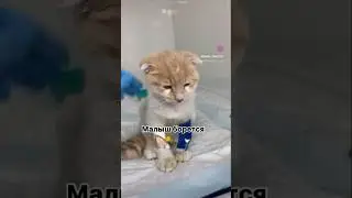 Вчера у меня был день ужаса и страха. Пост в комментах. 