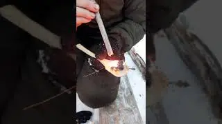 ЛОЖКА В ЛЕСУ