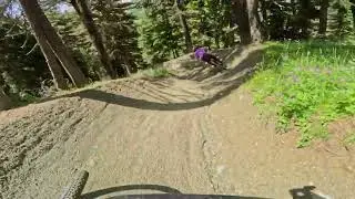 Freeride 4
