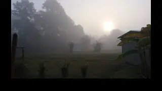 Starting a Food Forest - In the Beginning