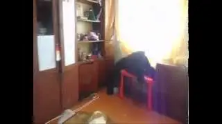 Вызов Духов Вызов египецкого кота (дух пришол !!!! ахренеть)