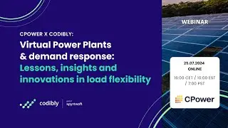 Webinar: Virtual Power Plants & Demand Response: Lessons learned & key insights