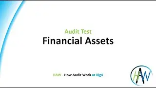6.44 Audit Test - Financial Assets - Preview