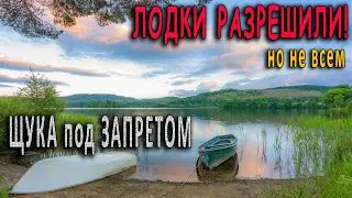 ЛОДКИ РАЗРЕШИЛИ, но не ВСЕМ - ЩУКА под ЗАПРЕТОМ!