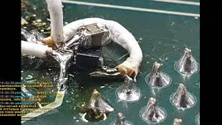 Какой-нибудь динамичный шутан