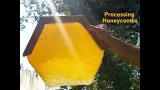 Processing Your Harvested Honey