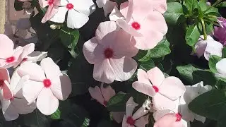 Ростов на Дону! У нас еще лето!