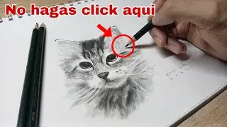 Relax for 1 minute with this CUTE DRAWING