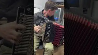 #Барыня #гармонь
