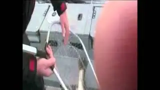 Дом Рыбака - второй зачетный 2011