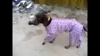 штурман фантома в комбезике