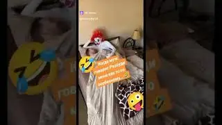 Шут дурак в портрете 