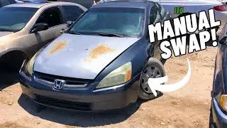 JUNKYARD SCORE! Honda Accord (7th Gen) Abandoned Project Car....