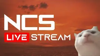 🎶 NCS Livestream #18 🎧 [Indie]