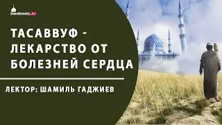 Тасаввуф - лекарство от болезней сердца | Шамиль Гаджиев - имам мечети имени Имама Шамиля