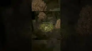 Солевая галька Project Zomboid 