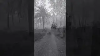 পুরানো সেই দিনের কথা... 😔
