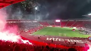 Sto ne moze niko mozes ti Crvena zvezda - Cukaricki 4:1 25.5.2024