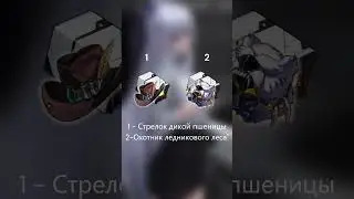 быстрый гайд на Цзинлю #honkaistarrail #hsr #гайд #хонкайстаррейл #хср