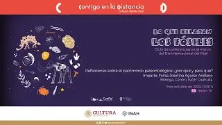 Lo que relatan los fósiles: Reflexiones sobre el patrimonio paleontológico: ¿por qué y para qué?